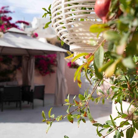 Santorini Oasis- Cave House Fira (Santorini) Exterior foto
